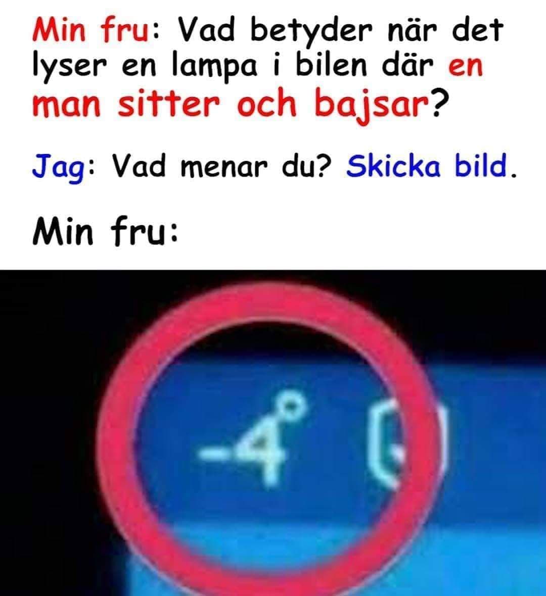 Namn:  64529895_340390609985057_1856712373490941952_n.jpg
Visningar: 1343
Storlek:  63.0 KB