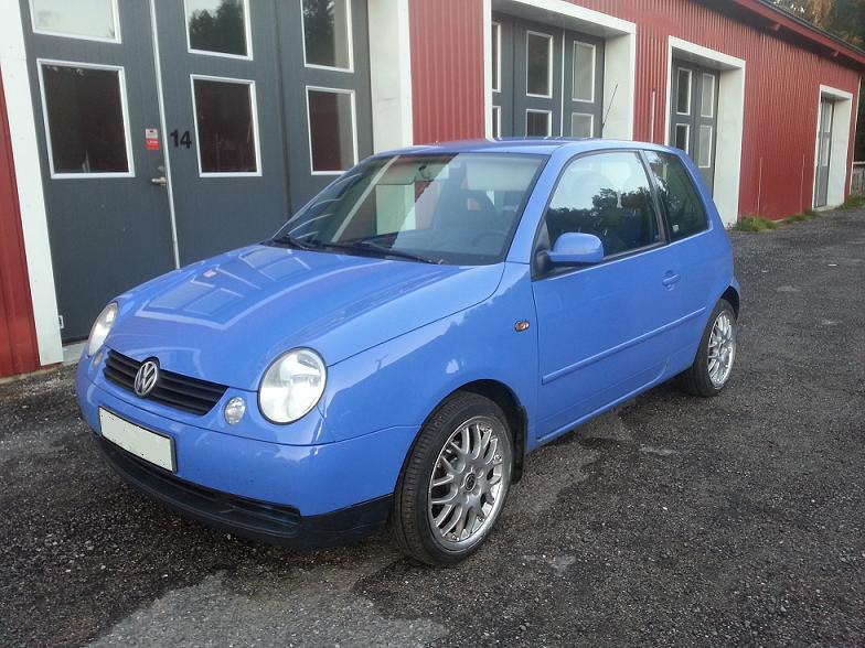 Namn:  Lupors.jpg
Visningar: 687
Storlek:  106.1 KB