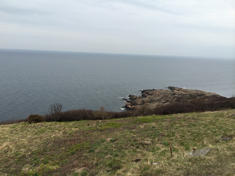 Namn:  2014-04-05 14.26.48.jpg
Visningar: 528
Storlek:  173.2 KB