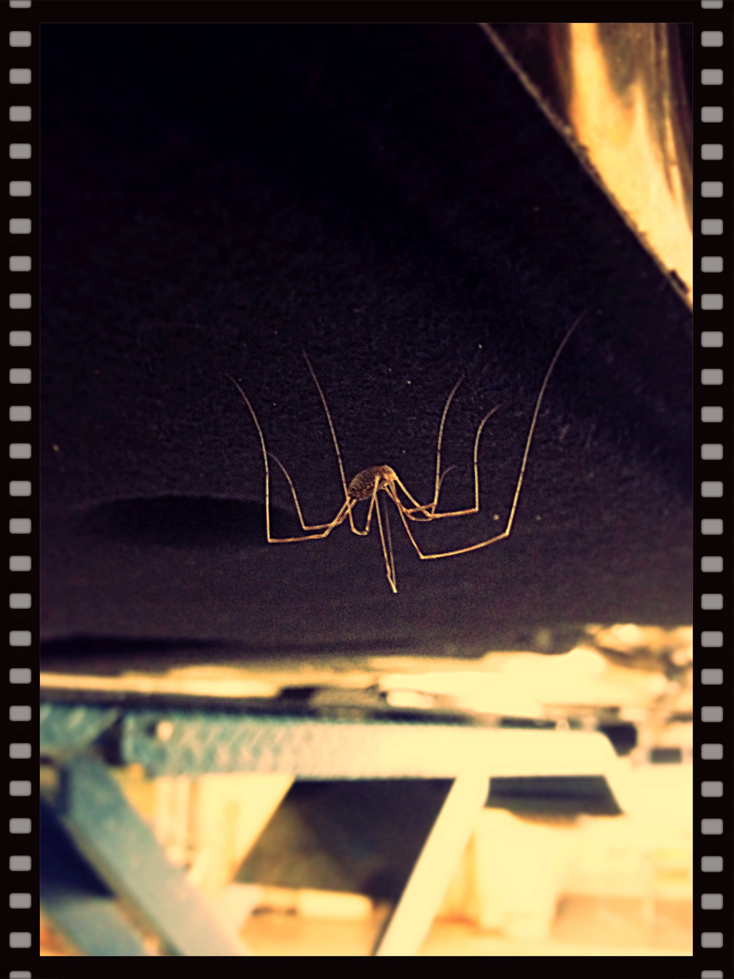 Namn:  IMG_3884_Fotor.jpg
Visningar: 591
Storlek:  501.6 KB
