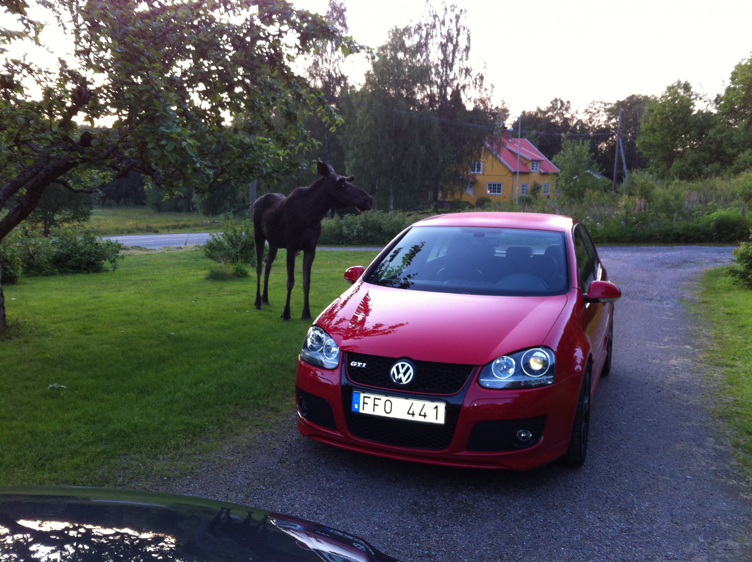 Namn:  IMG_0222.jpg
Visningar: 539
Storlek:  872.6 KB
